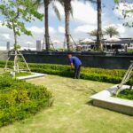 Thiết kế thi công trồng cây xanh cho công ty demo 7