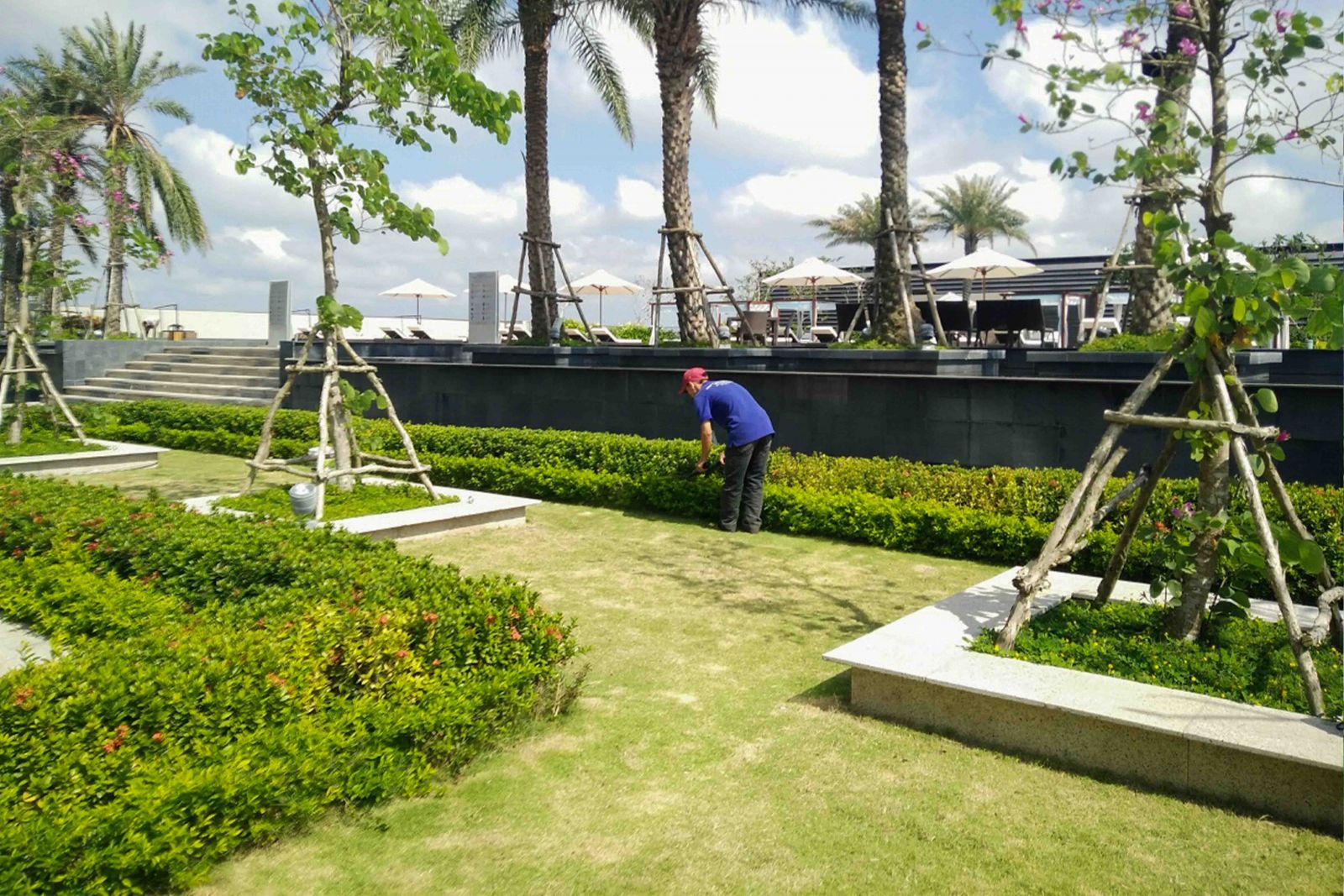 Thiết kế thi công trồng cây xanh cho công ty demo 7