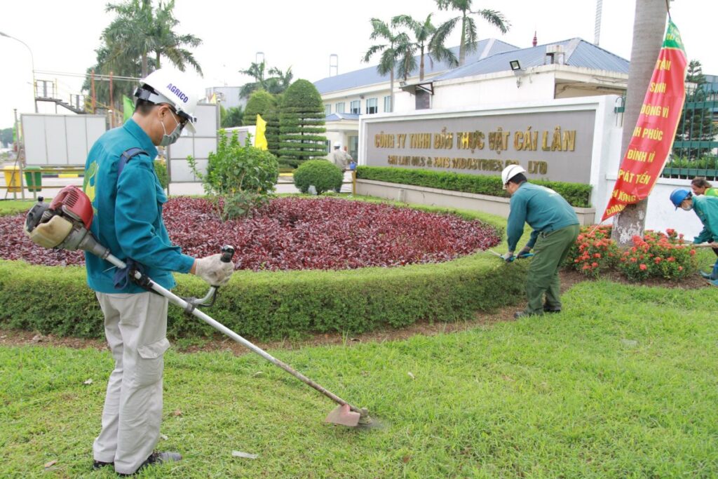 Thiết kế thi công trồng cây xanh cho công ty demo 4