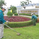 Thiết kế thi công trồng cây xanh cho công ty demo 7