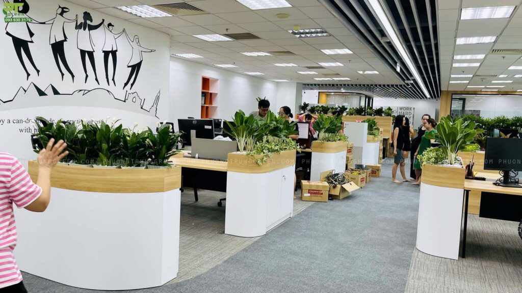 Thiết kế thi công trồng cây xanh cho công ty demo 2