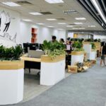 Thiết kế thi công trồng cây xanh cho công ty demo 7