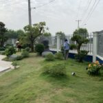 Thiết kế thi công trồng cây xanh cho công ty demo 7