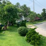 Thiết kế thi công trồng cây xanh cho công ty demo 7