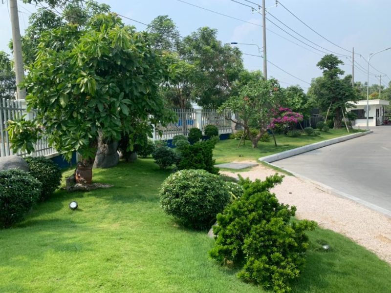 Thiết kế thi công trồng cây xanh cho công ty demo 7