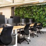 Thiết kế thi công trồng cây xanh cho công ty demo 7